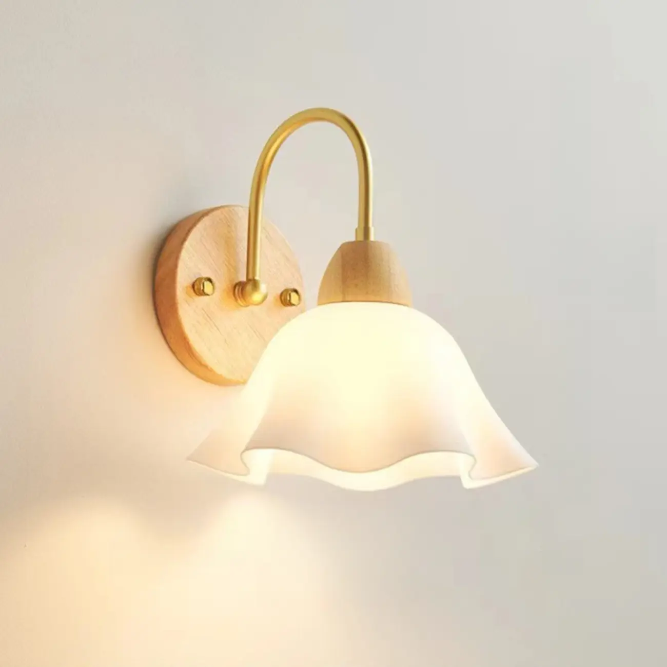 Pumpkin Acrylic Wall Sconce with Pull Switch for Bedroom | homeyfad