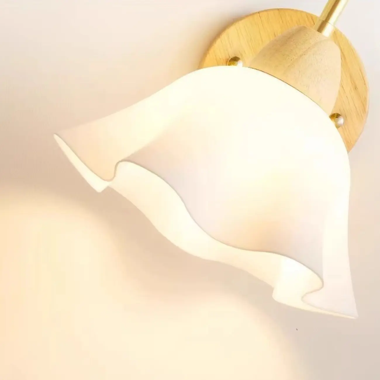 Pumpkin Acrylic Wall Sconce with Pull Switch for Bedroom | homeyfad