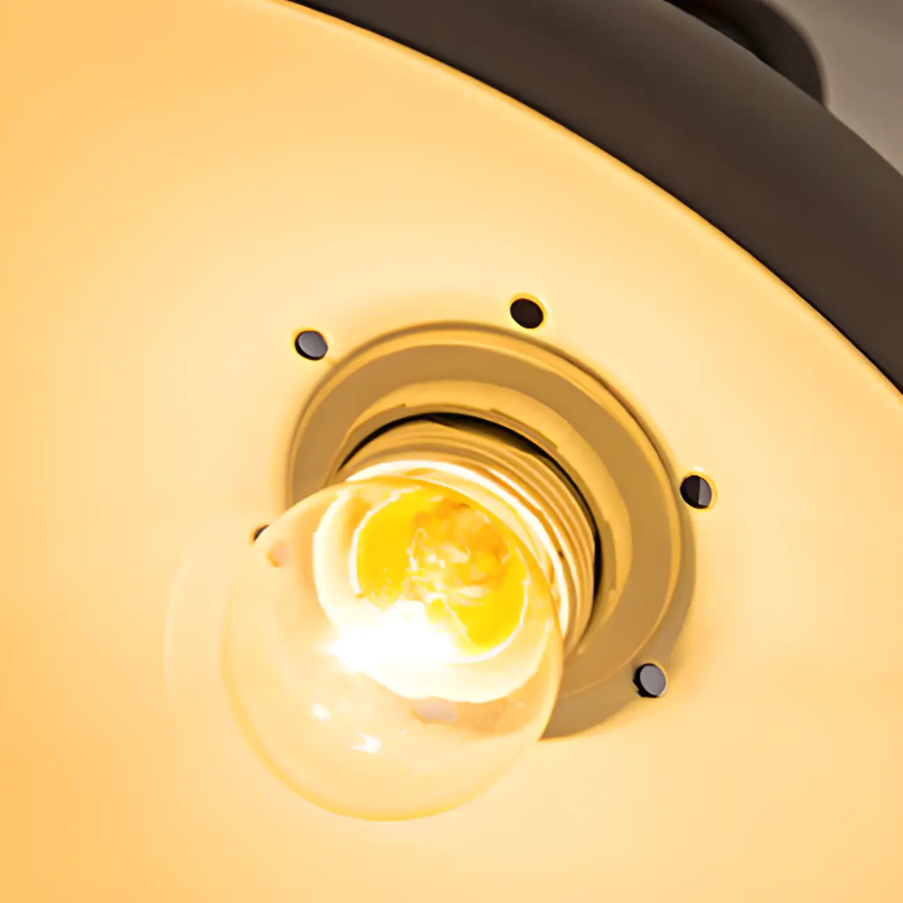 Rustic Industrial Adjustable Metal Floor Lamp with Dome Shade Image - 5 | homeyfad