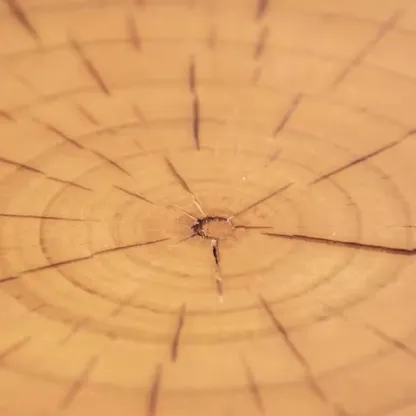 Modern Square Pine Wood Side Table for Living Room Image - 5