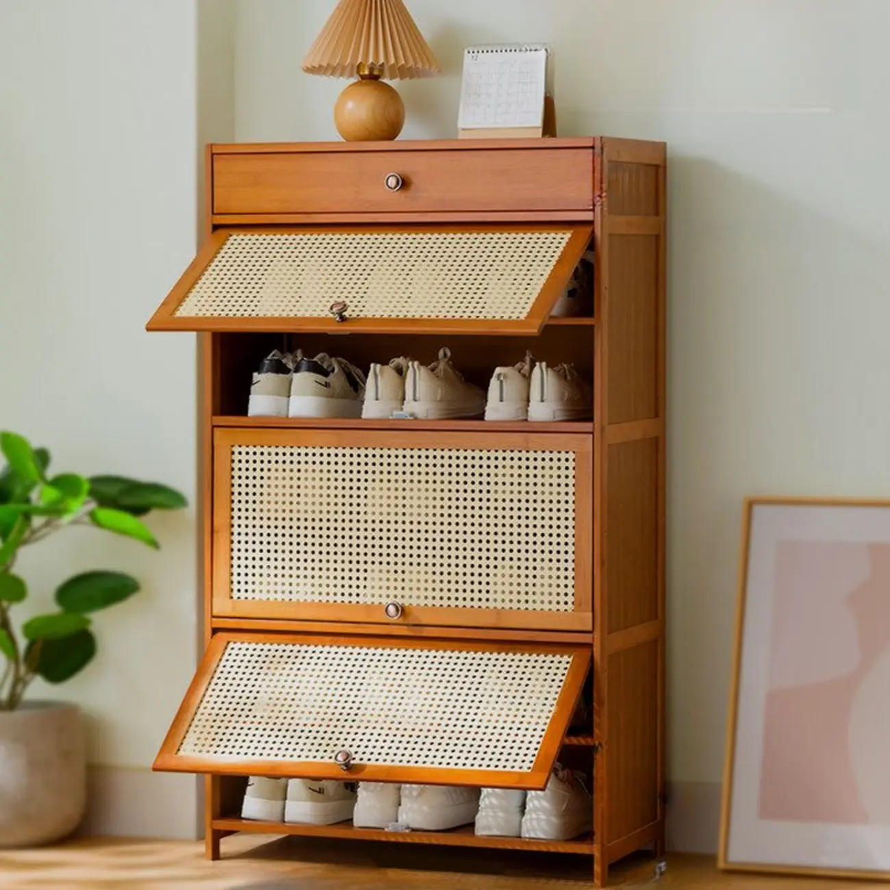 Bohemian Brown Wood Shoe Cabinet with Cane Doors Image - 8 | homeyfad