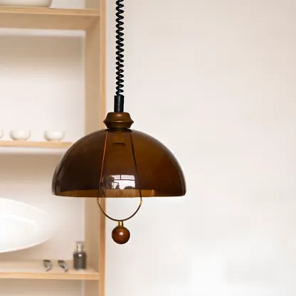 Modern Brown Dome Adjustable Pendant Lighting Image - 2