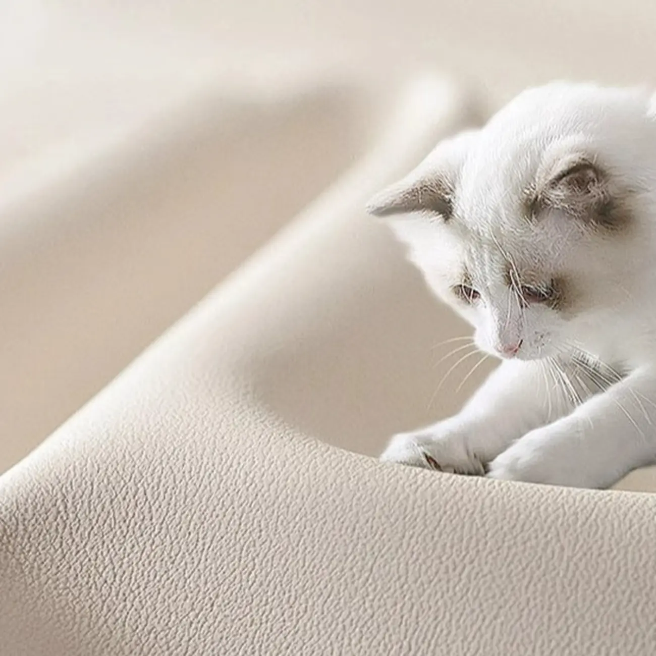 Compact Cream Wooden Faux Leather Top Nightstand Image - 9 | homeyfad