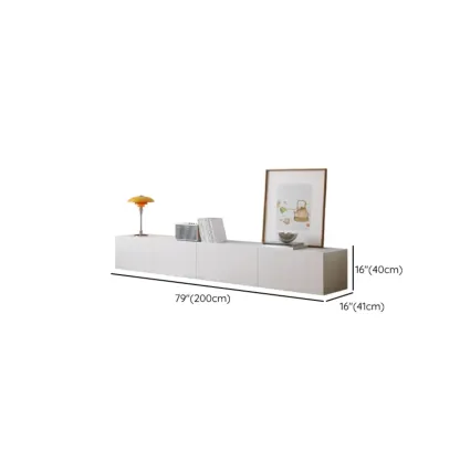 Modern Wood Scandinavian TV Stand with Storage