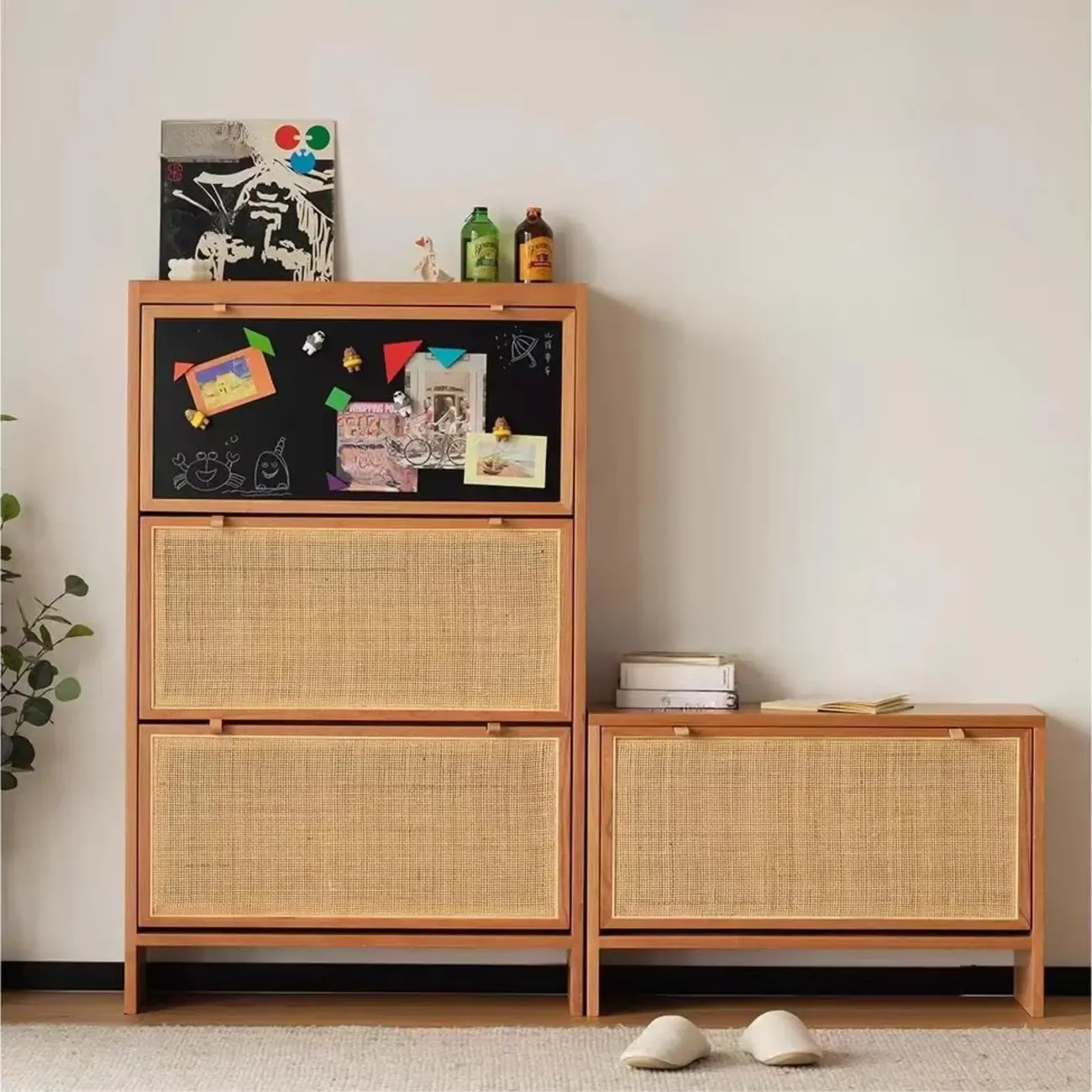 Boho Solid Wood Tipping Shoe Cabinet in Brown Image - 1