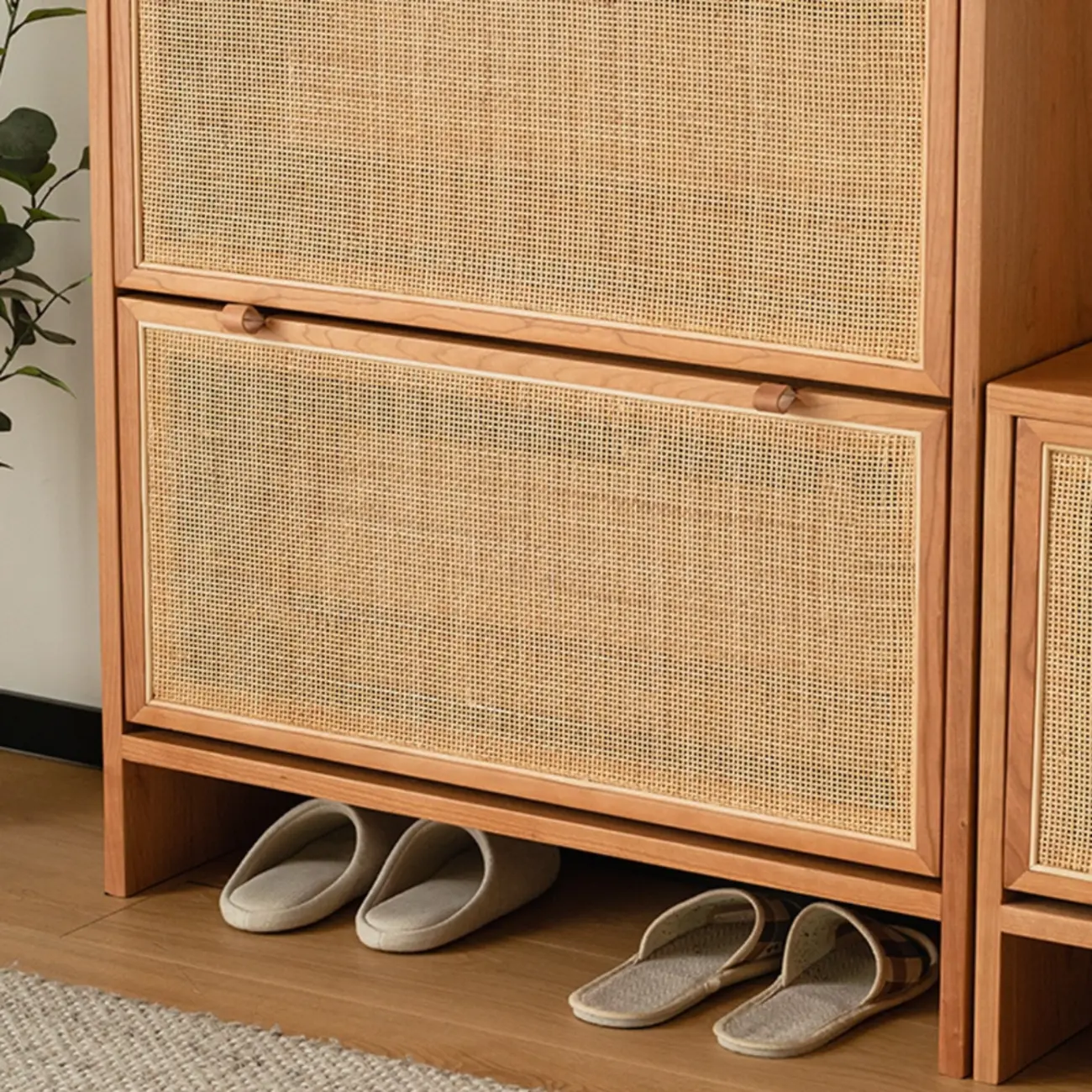 Boho Solid Wood Tipping Shoe Cabinet in Brown Image - 10 | homeyfad