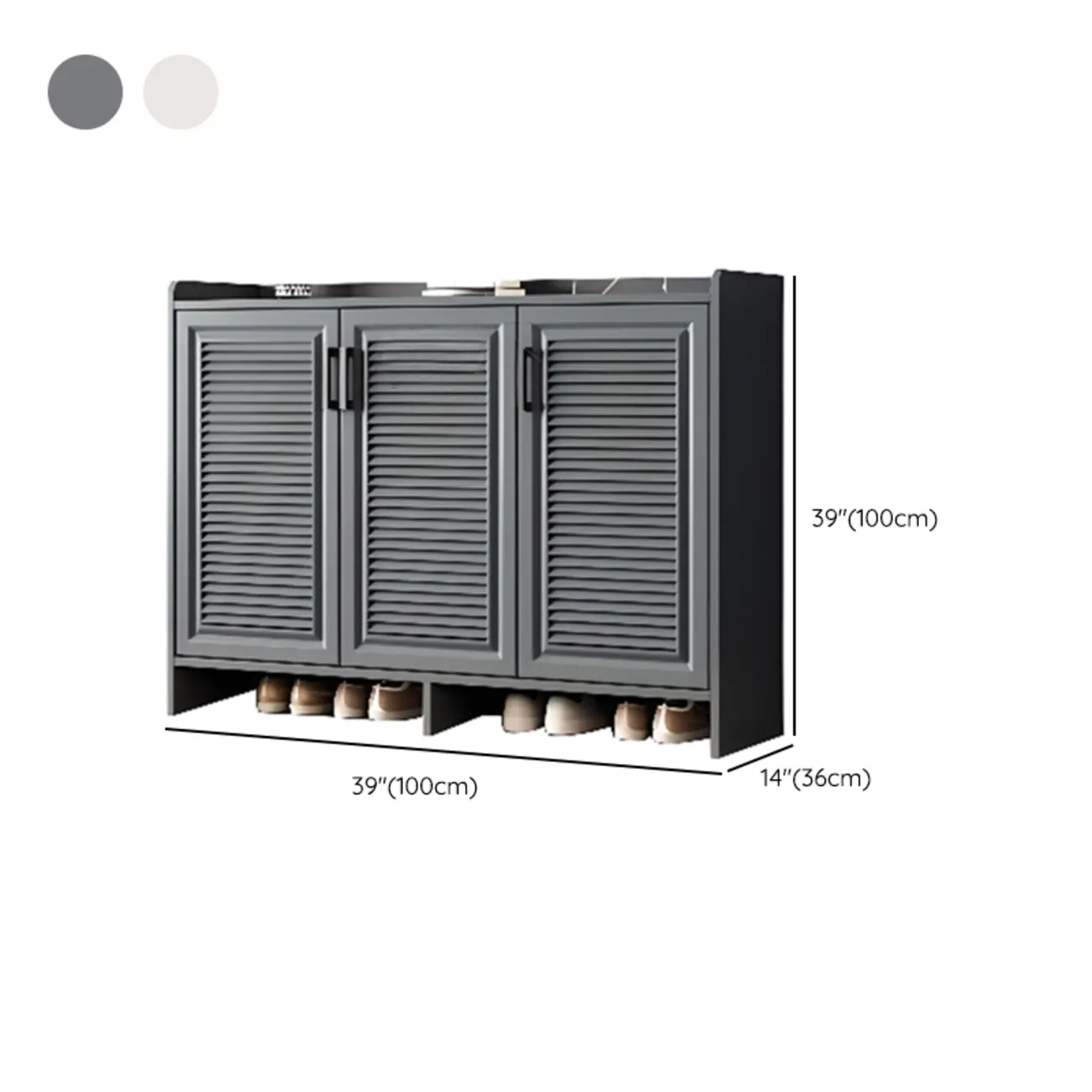 White Metal Rustic Entryway Shoe Storage Cabinet Image - 23 | homeyfad