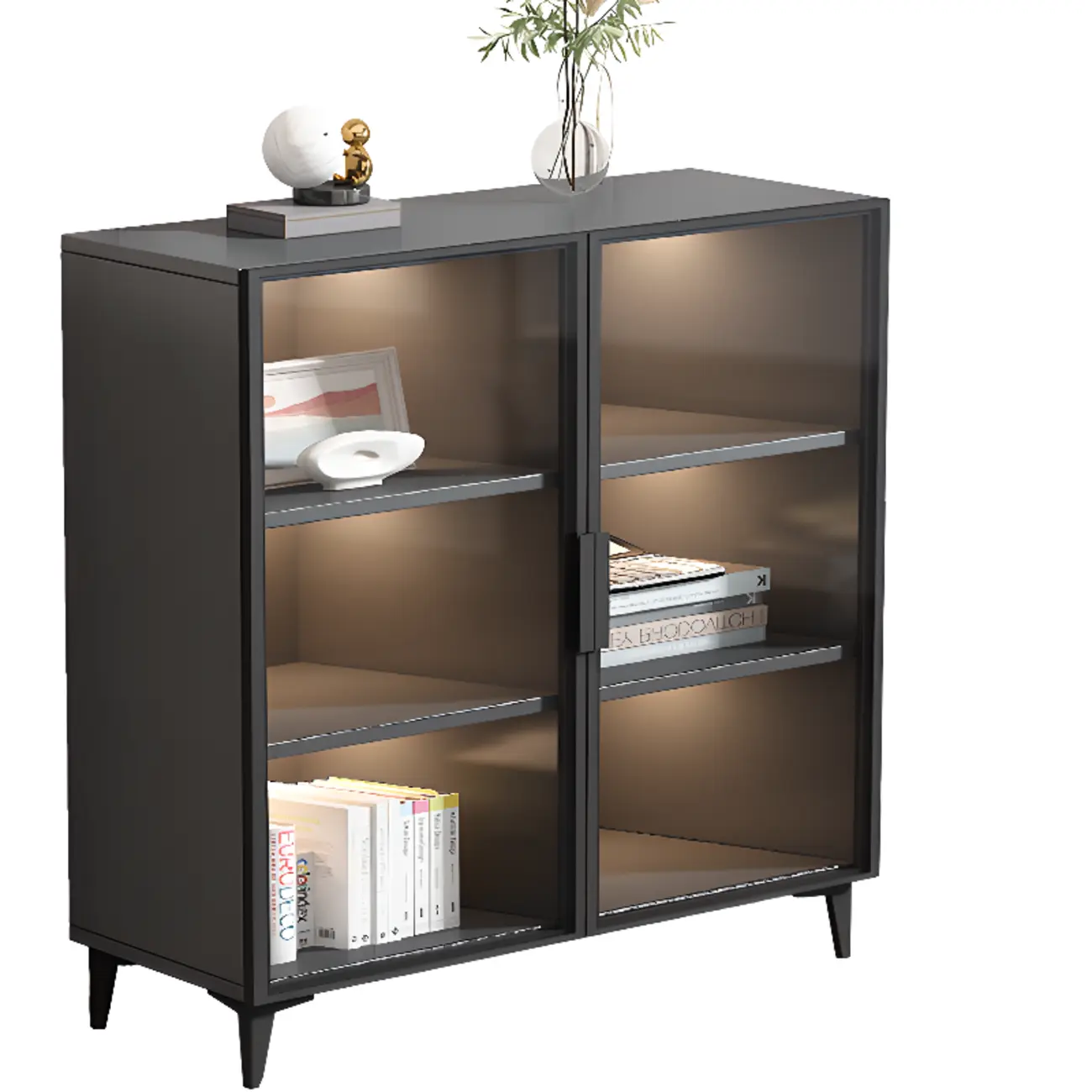 Rectangular Black Metal Glass Door Cabinet Bookcase Image - 5 | homeyfad