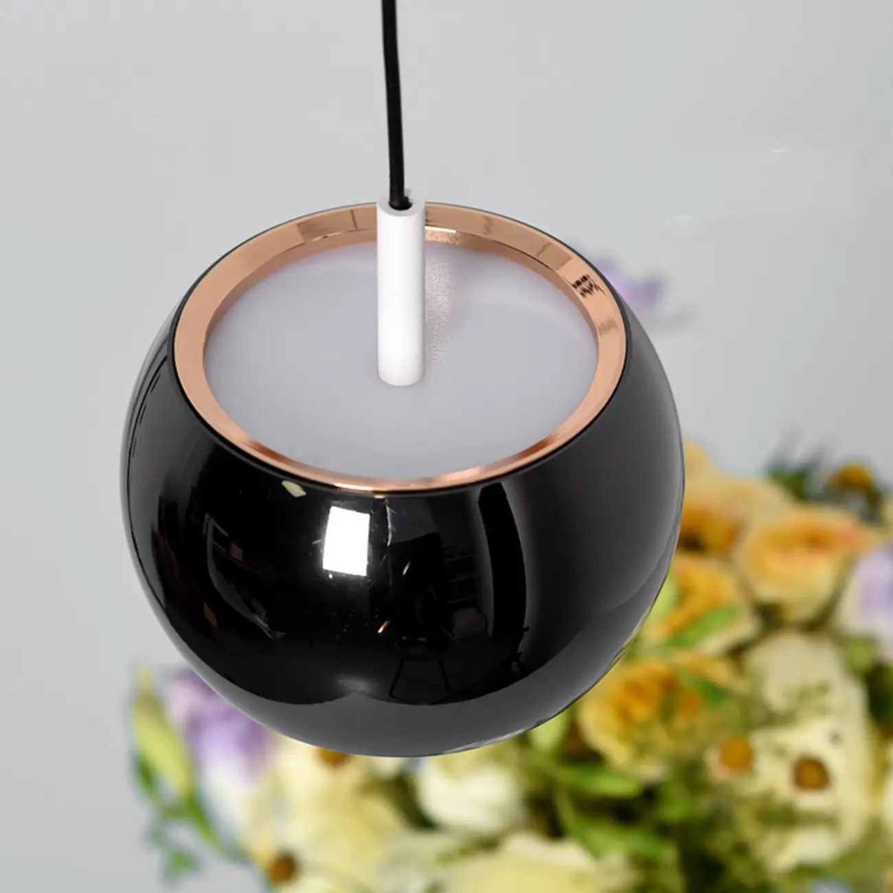 Liftable Globe Metal Pendant Light Fixture for Living Room  Image - 18 | homeyfad