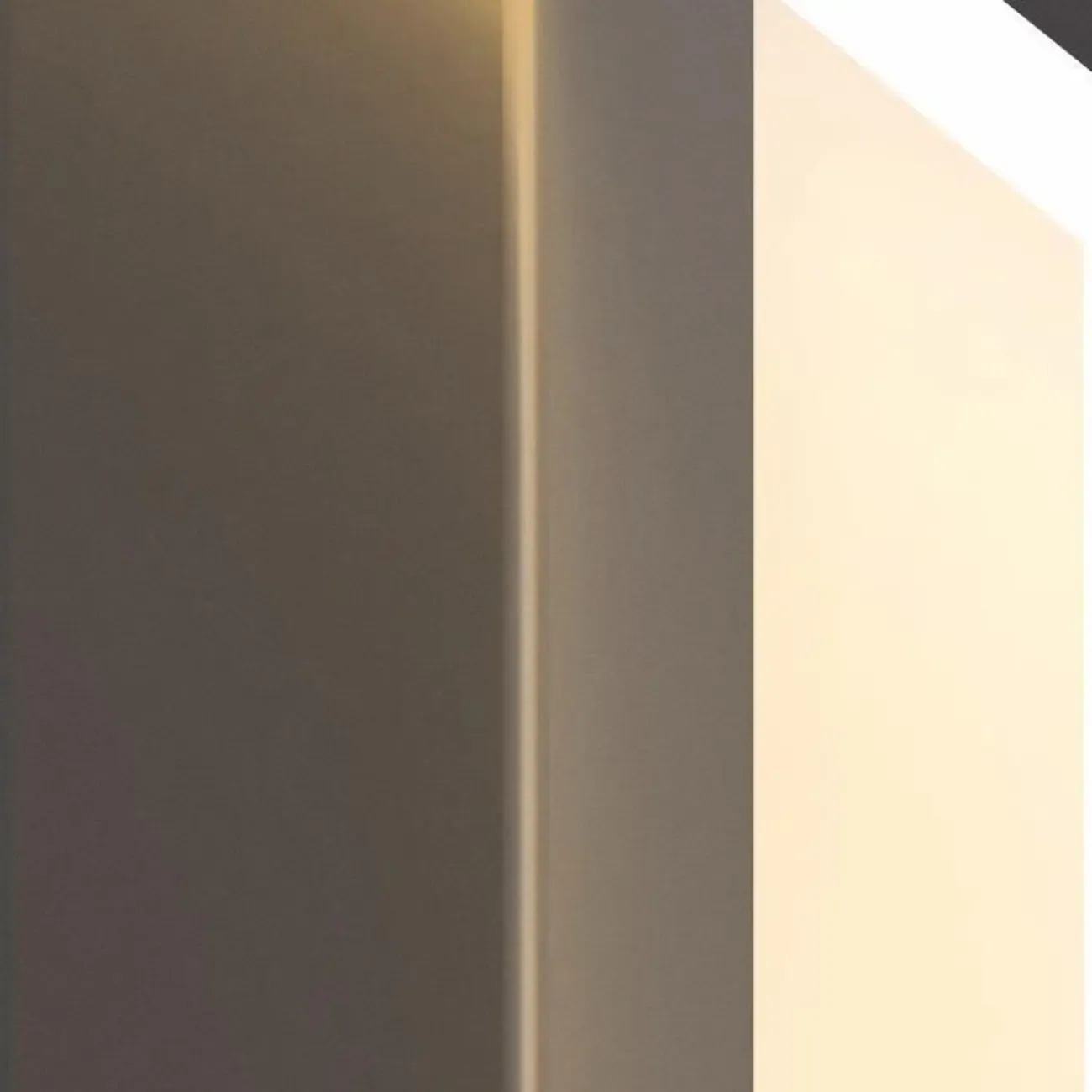 Modern Stylish 2-Light  Black LED Wall Sconce Remote Control