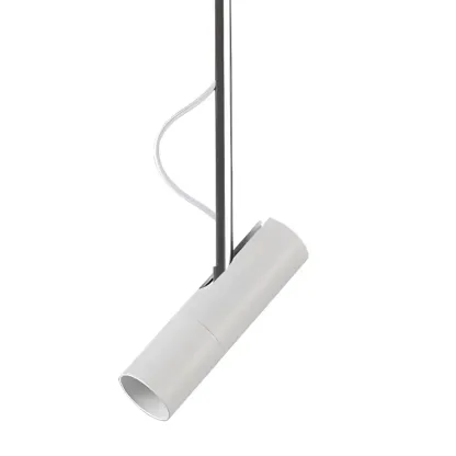 Black Metal Rotatable Cylinder Bi-pin Pendant Light Image - 8