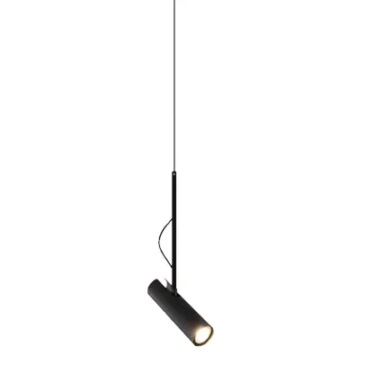 Black Metal Rotatable Cylinder Bi-pin Pendant Light Image - 15