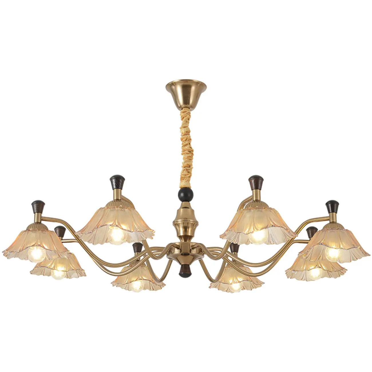 Modern Adjustable Gold Flower Glass Chandelier 6/8 Lights Image - 5 | homeyfad