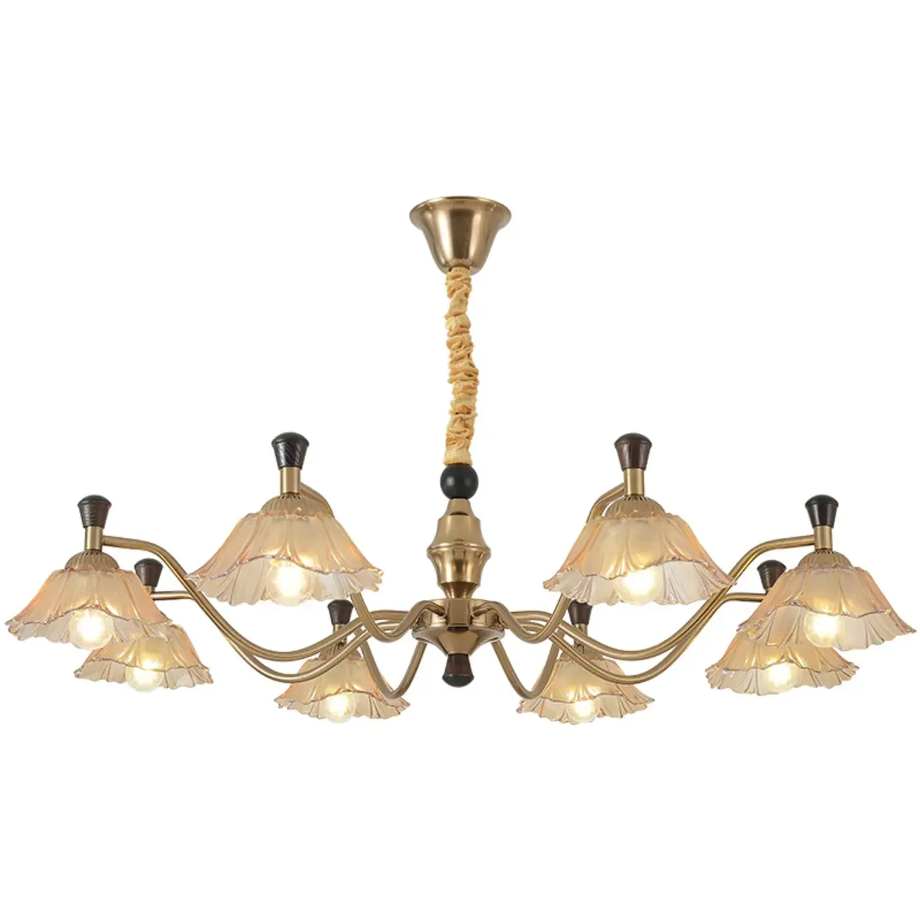 Modern Adjustable Gold Flower Glass Chandelier 6/8 Lights Image - 5