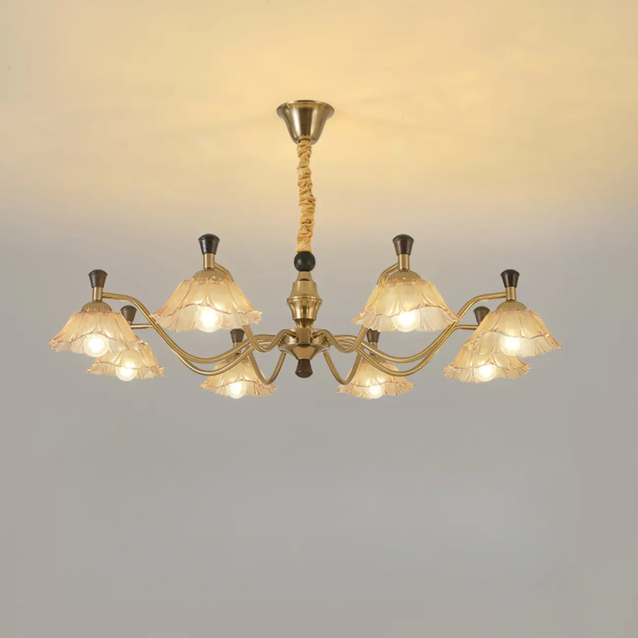 Modern Adjustable Gold Flower Glass Chandelier 6/8 Lights Image - 6 | homeyfad