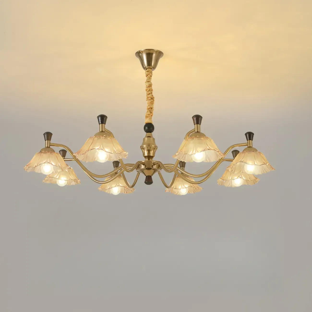 Modern Adjustable Gold Flower Glass Chandelier 6/8 Lights Image - 6