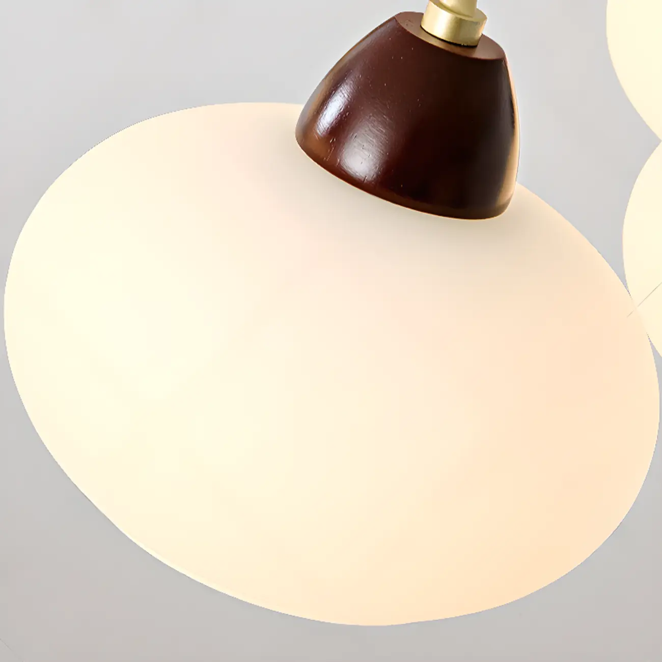 Gold Glass Floral Modern Chandelier with Elegance Image - 9 | homeyfad