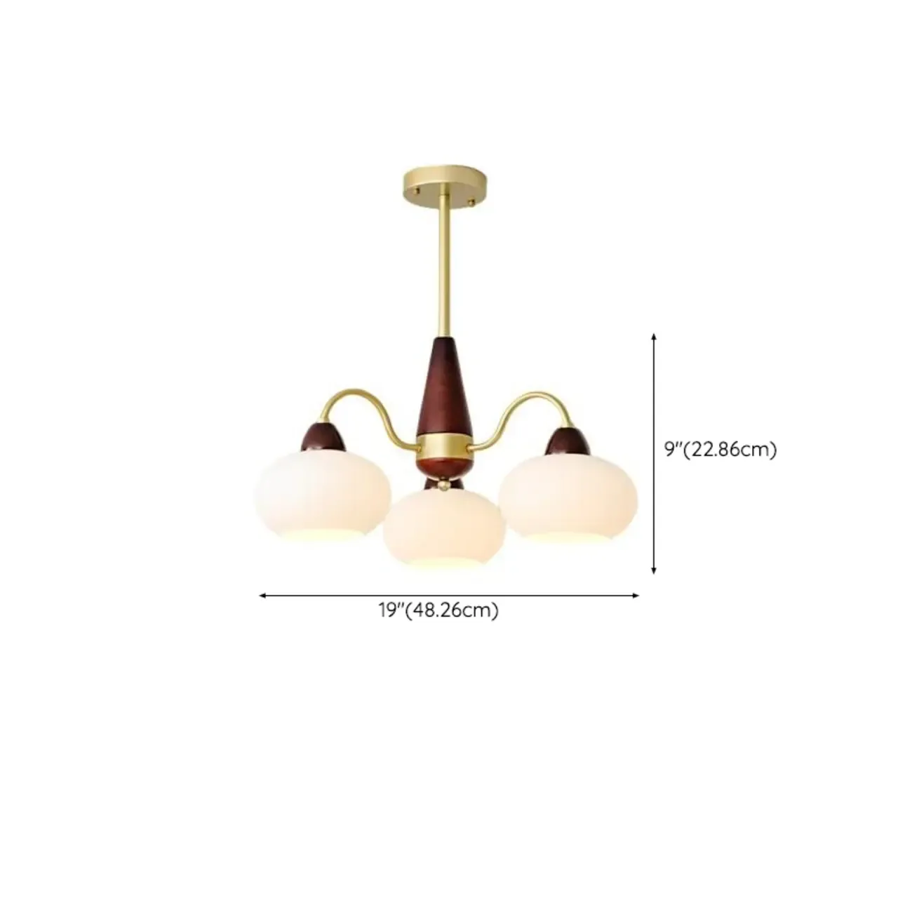 Gold Glass Floral Modern Chandelier with Elegance #size