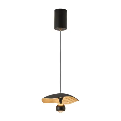 Modern Black 2-Light Pendant Light Fixture Adjustable Height Image - 3