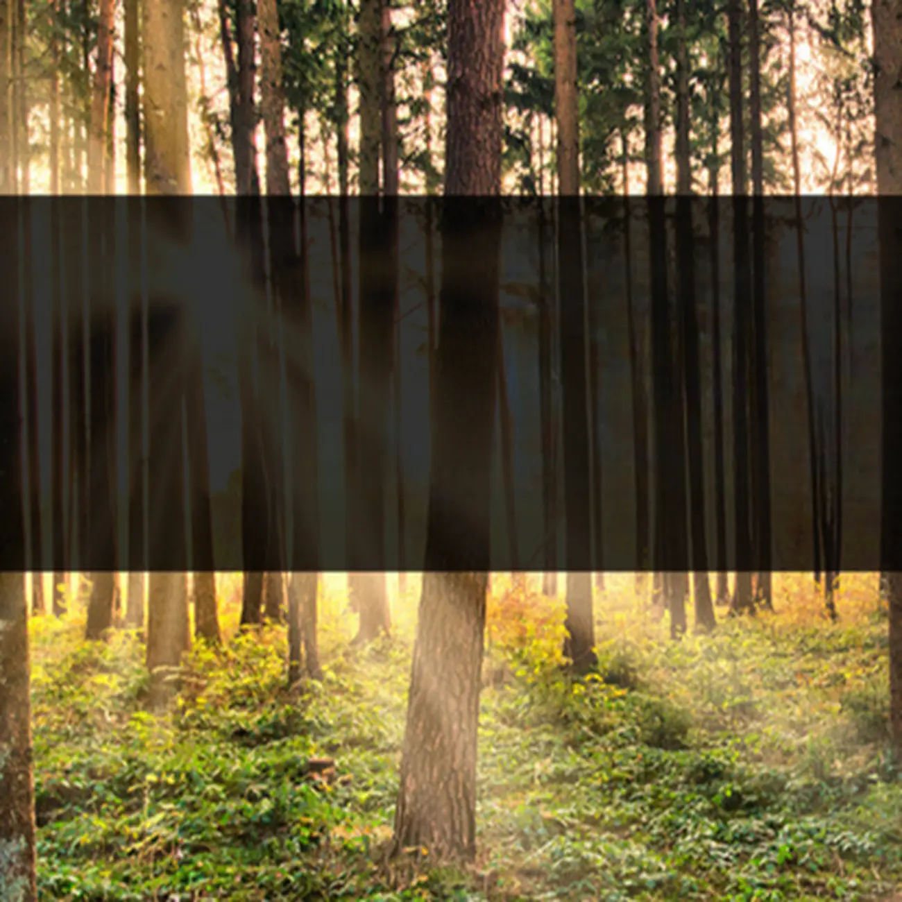 Modern Brown Wooden Metal Hairpin Legs Bar Tables Image - 5 | homeyfad