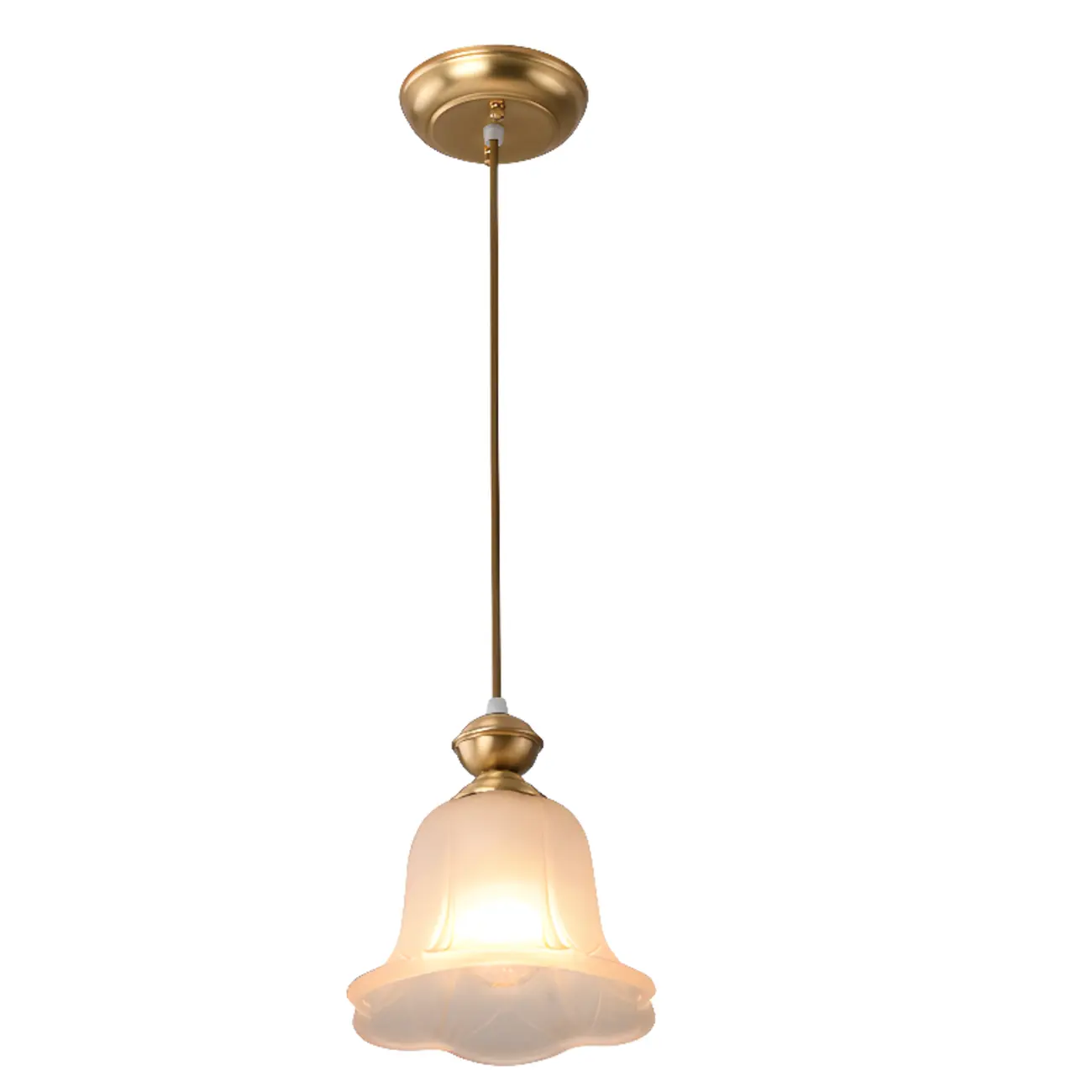 Indoor Clear Glass Pendant Lights Fixture with Adjustable Height Image - 13 | homeyfad
