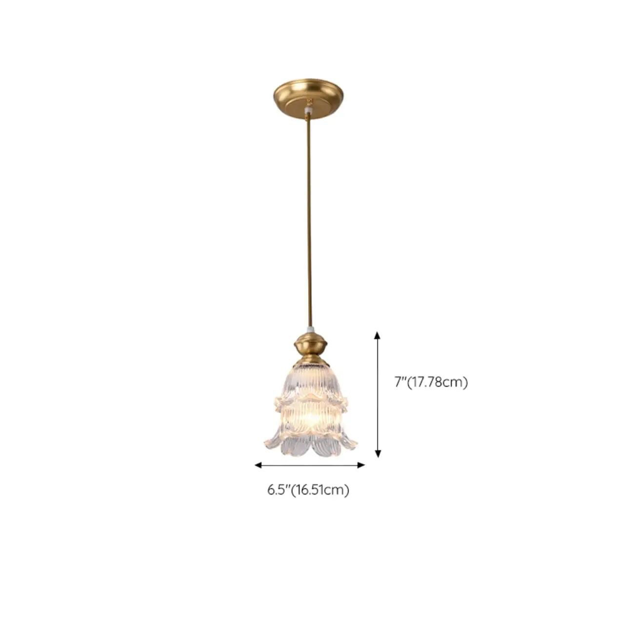 Indoor Clear Glass Pendant Lights Fixture with Adjustable Height Image - 19