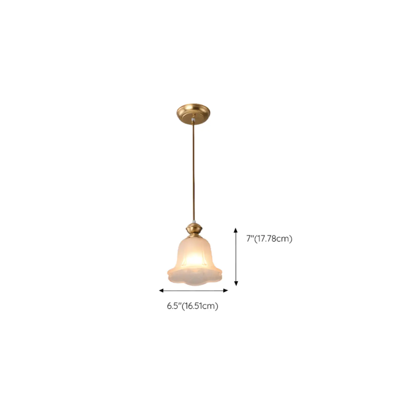 Indoor Clear Glass Pendant Lights Fixture with Adjustable Height Image - 21 | homeyfad