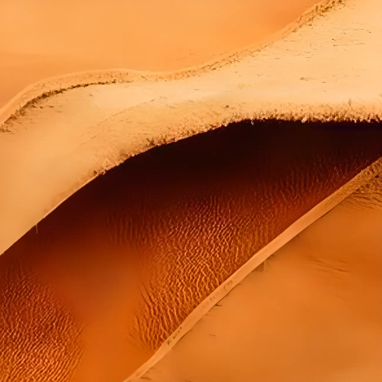 Square Adjustable Leather Gold Legs Swivel Bar Stools Image - 14