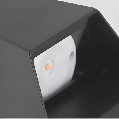 Outdoor Modern Black 2-Light LED Wall Lamp for Exterior  Image - 8
