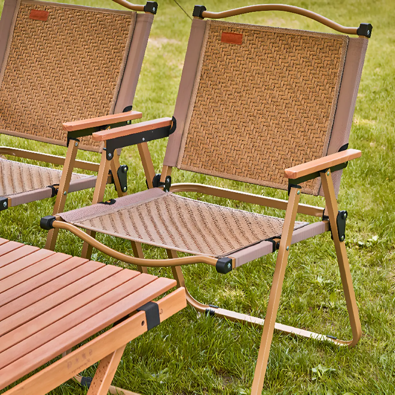Trendy Foldable Steel Outdoor Dining Chairs Image - 1 | homeyfad