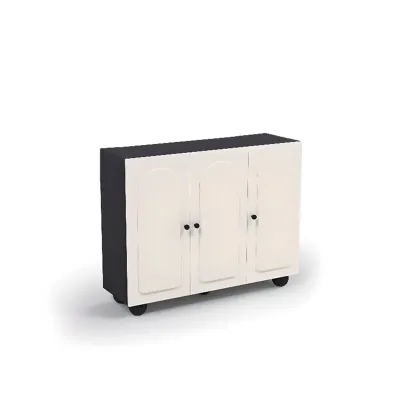 Chic Adjustable Shelves Wood Shoe Cabinet in White/Black Image - 19