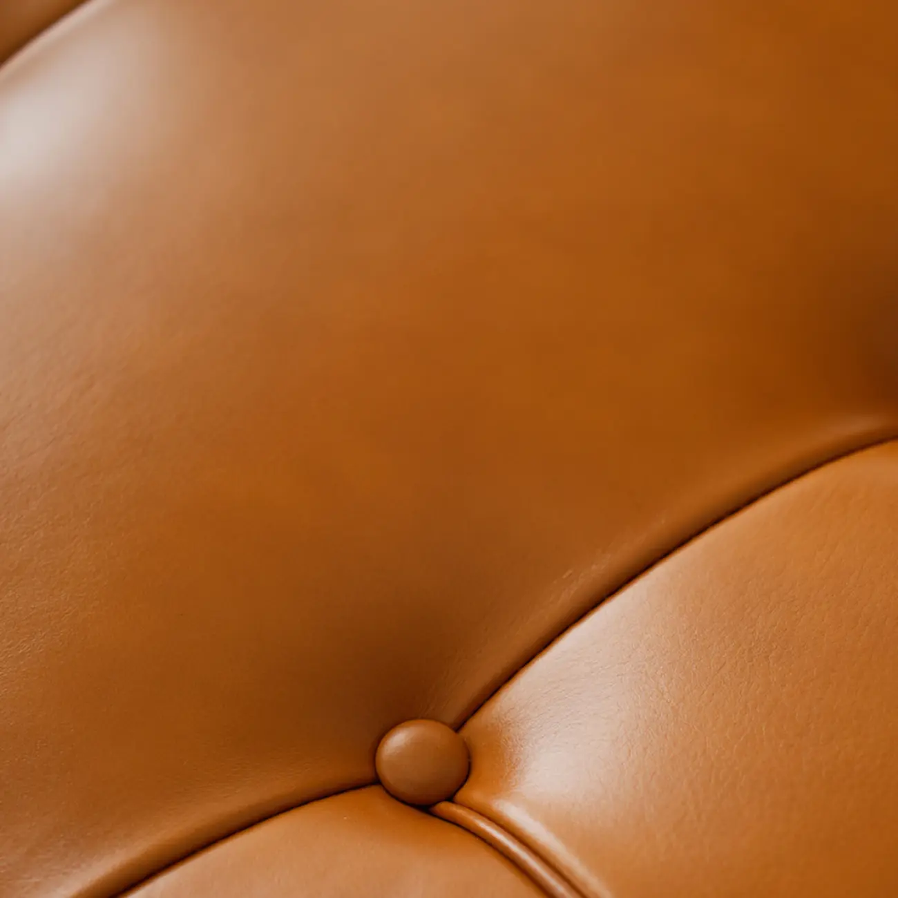 Scandinavian Tufted Leather Armless Dining Chair Image - 7 | homeyfad