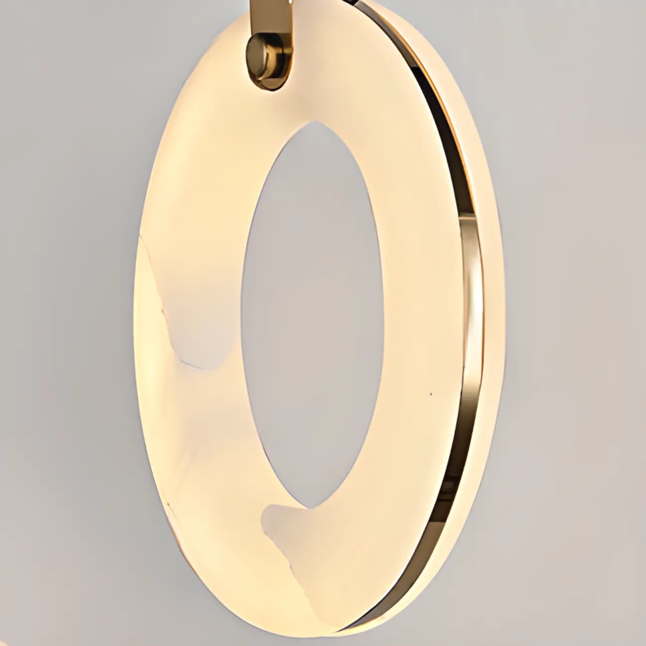 Adjustable Gold Metal Circle Hanging Pendant Light Image - 7 | homeyfad