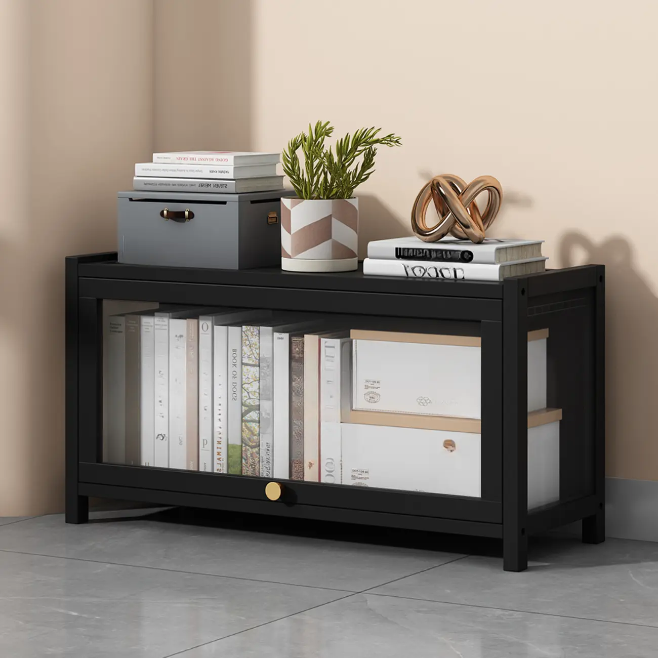 Modern Plexiglass Door Barrister Wood Bookcase Image - 4 | homeyfad