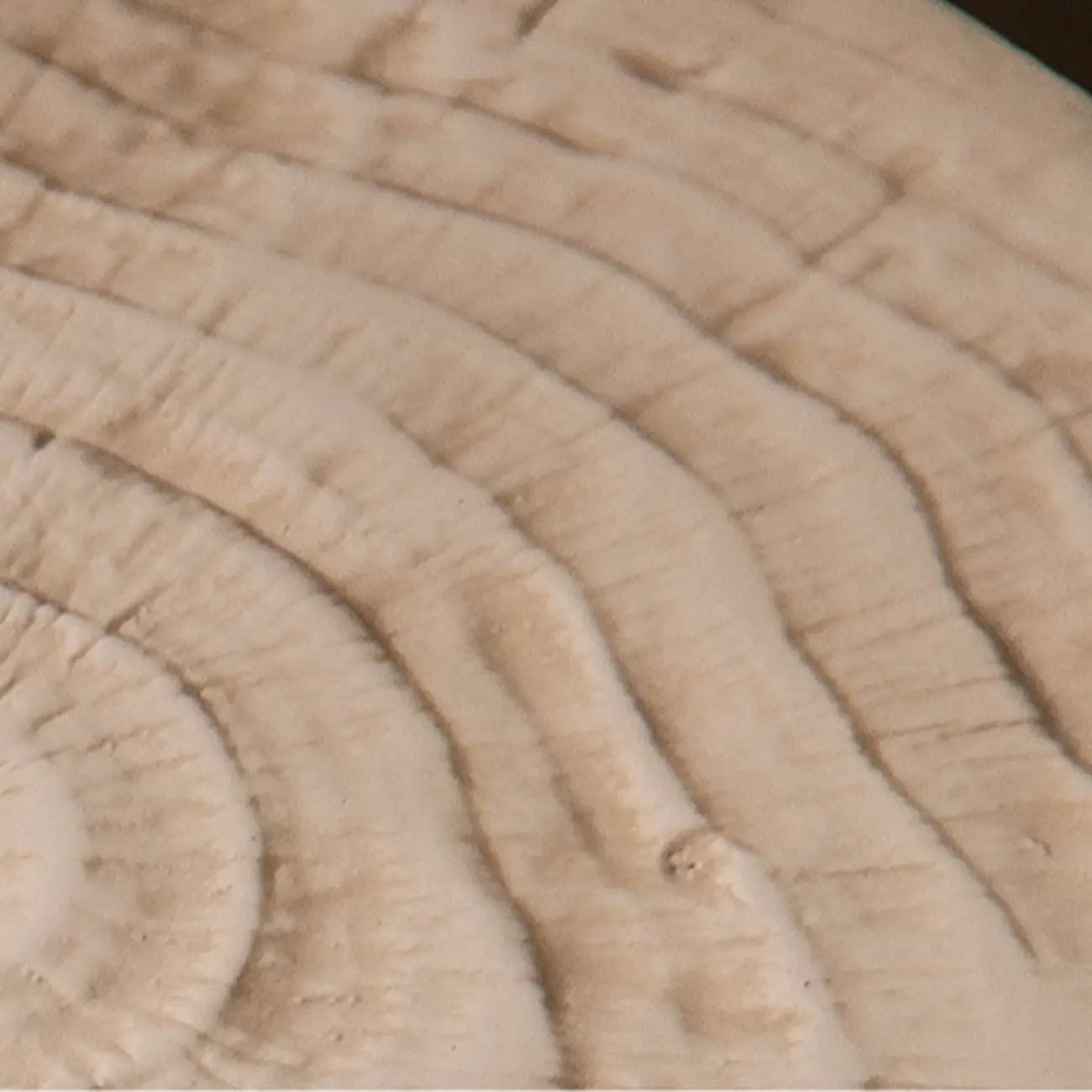 Elegant Drum Design White Wooden Side Table Image - 4 | homeyfad