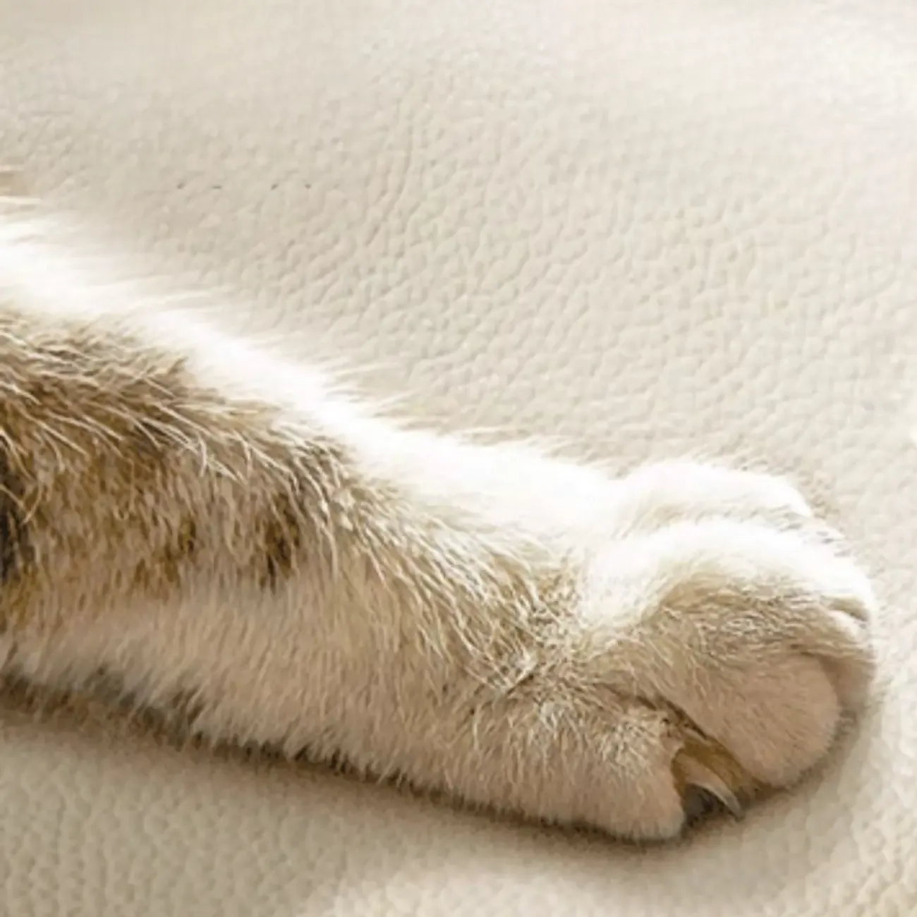 Modern Simple Style Bedside Cabinet Nightstand with 3 Drawers and Pine Countertop Image - 13