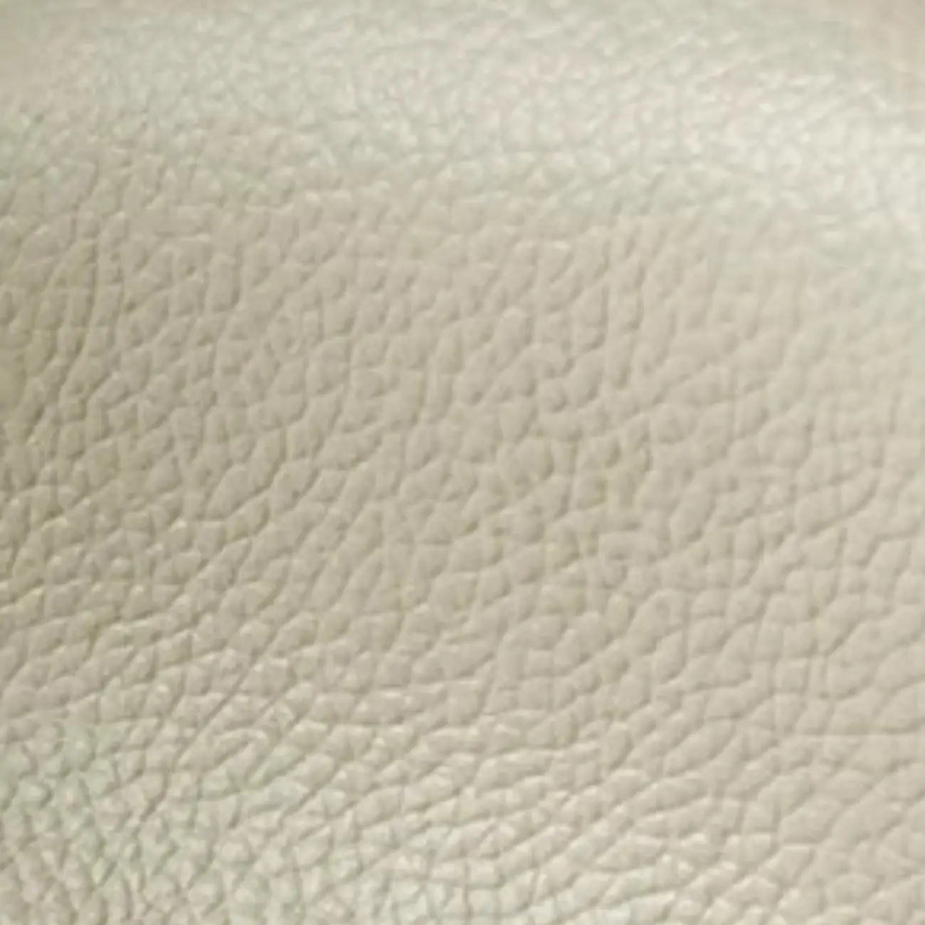 Modern Nappa Leather Solid Color Accent Chair with Arms Image - 8 | homeyfad