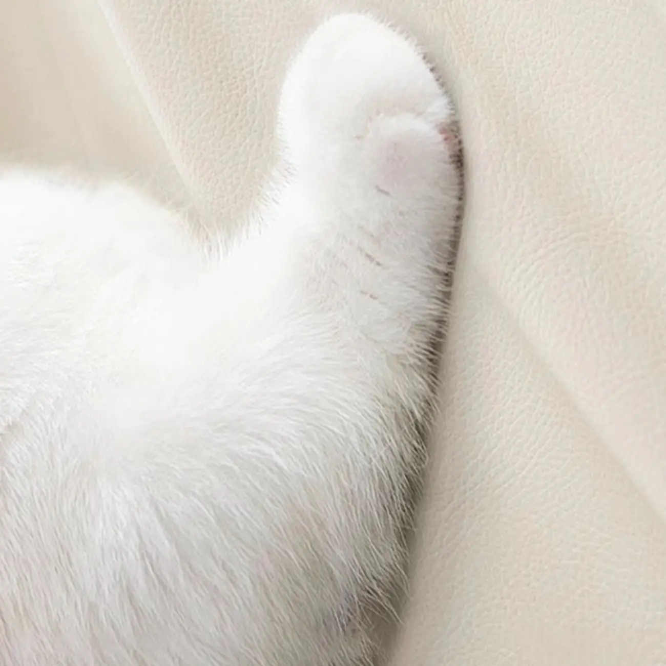 Modern Narrow Wooden Nightstand with 3 Drawers Image - 12 | homeyfad