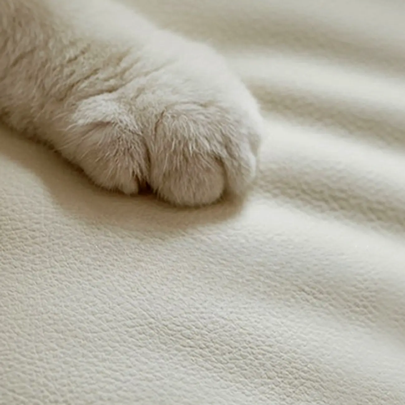 Elegant White Faux Leather Armless Wood Dining Chair Image - 14 | homeyfad