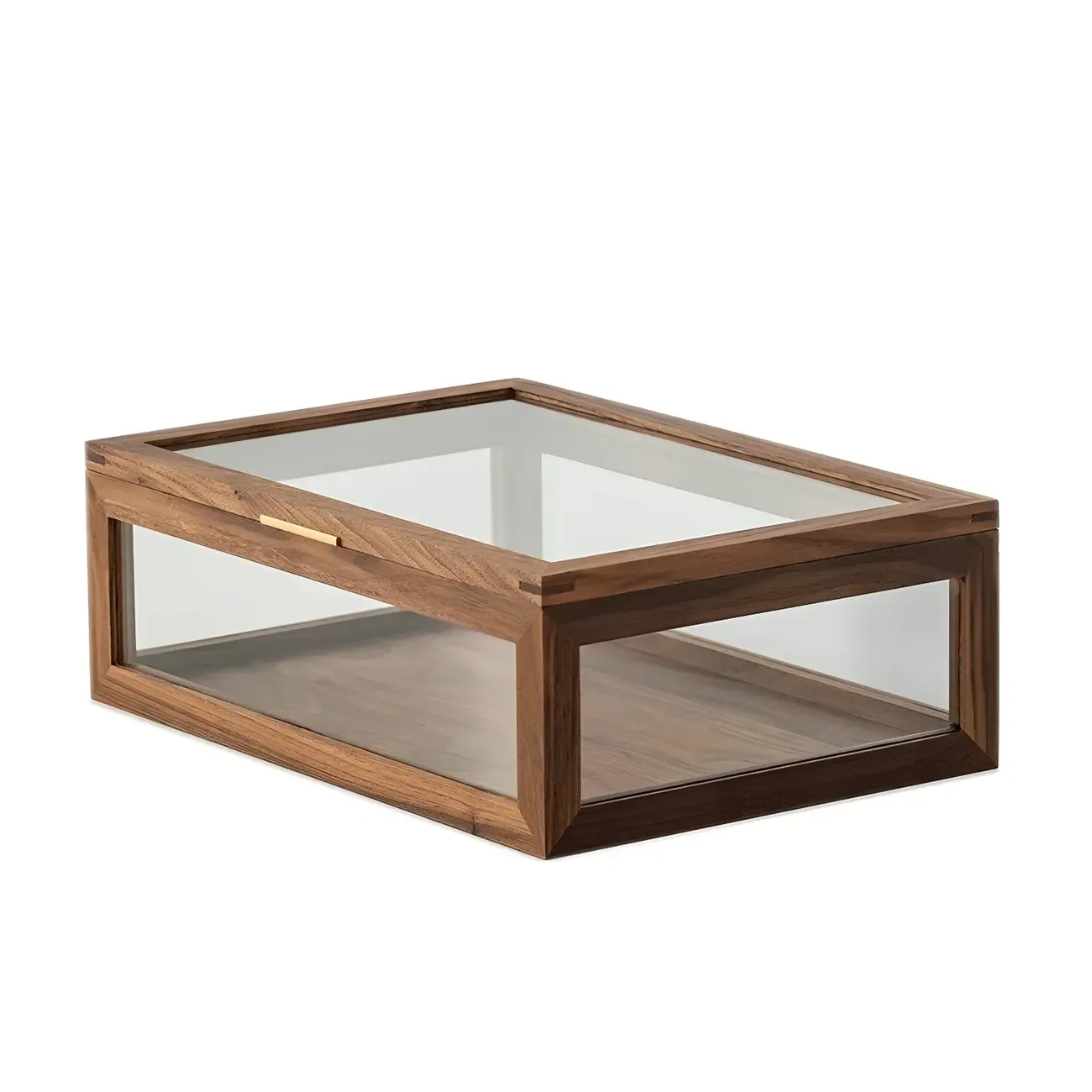 Small Walnut Wood Display Cabinet with Glass Doors | HomeyFad