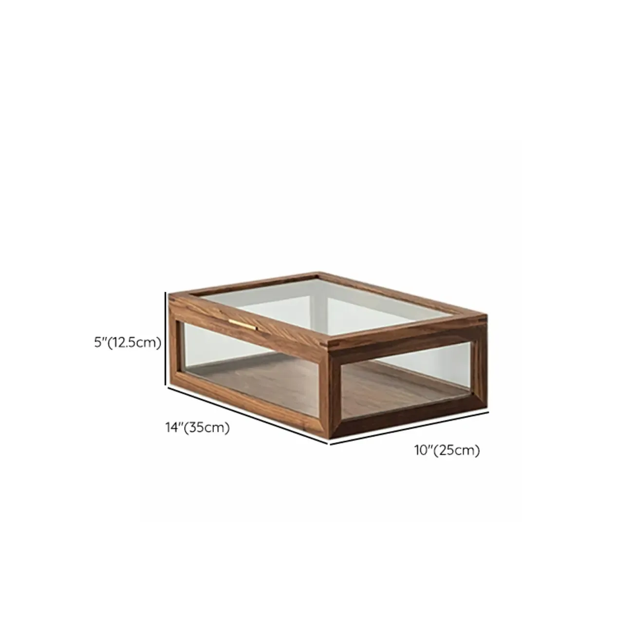 Small Walnut Wood Display Cabinet with Glass Doors #size