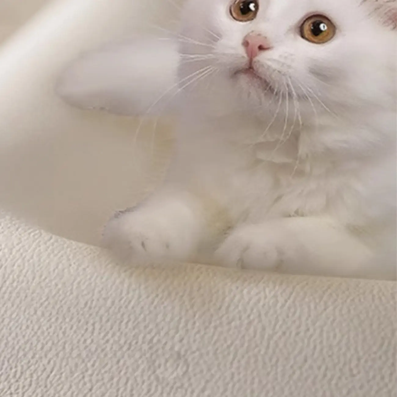 Modern Upholstered Solid Color Bedroom Bench Image - 7 | homeyfad