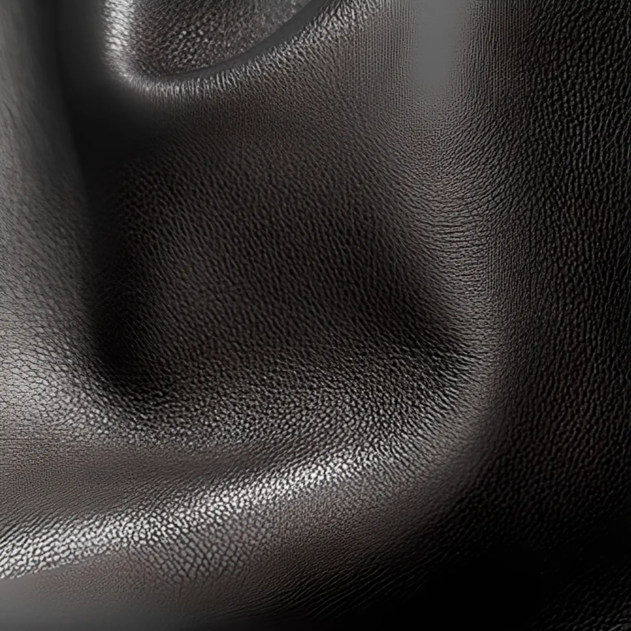 Contemporary Black Upholstered Entry Bench Storage Included Image - 7 | homeyfad