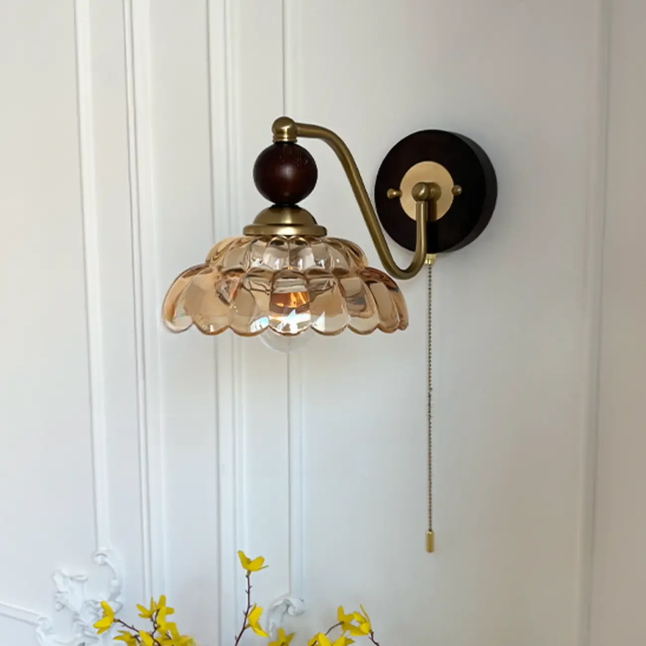 Elegant Modern Glass Flower Shade Wall Sconce Pull Chain | HomeyFad