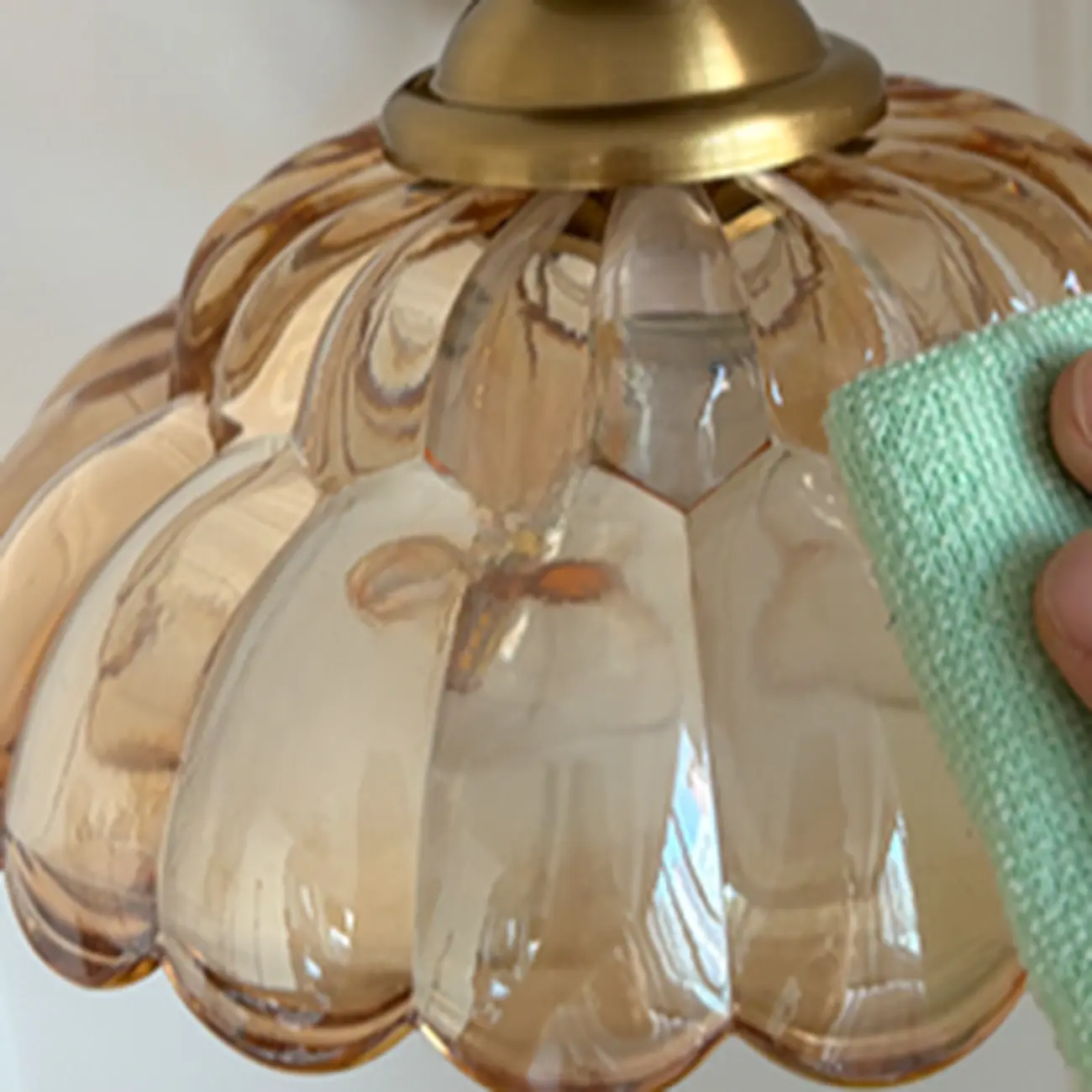 Elegant Modern Glass Flower Shade Wall Sconce Pull Chain Image - 4 | homeyfad