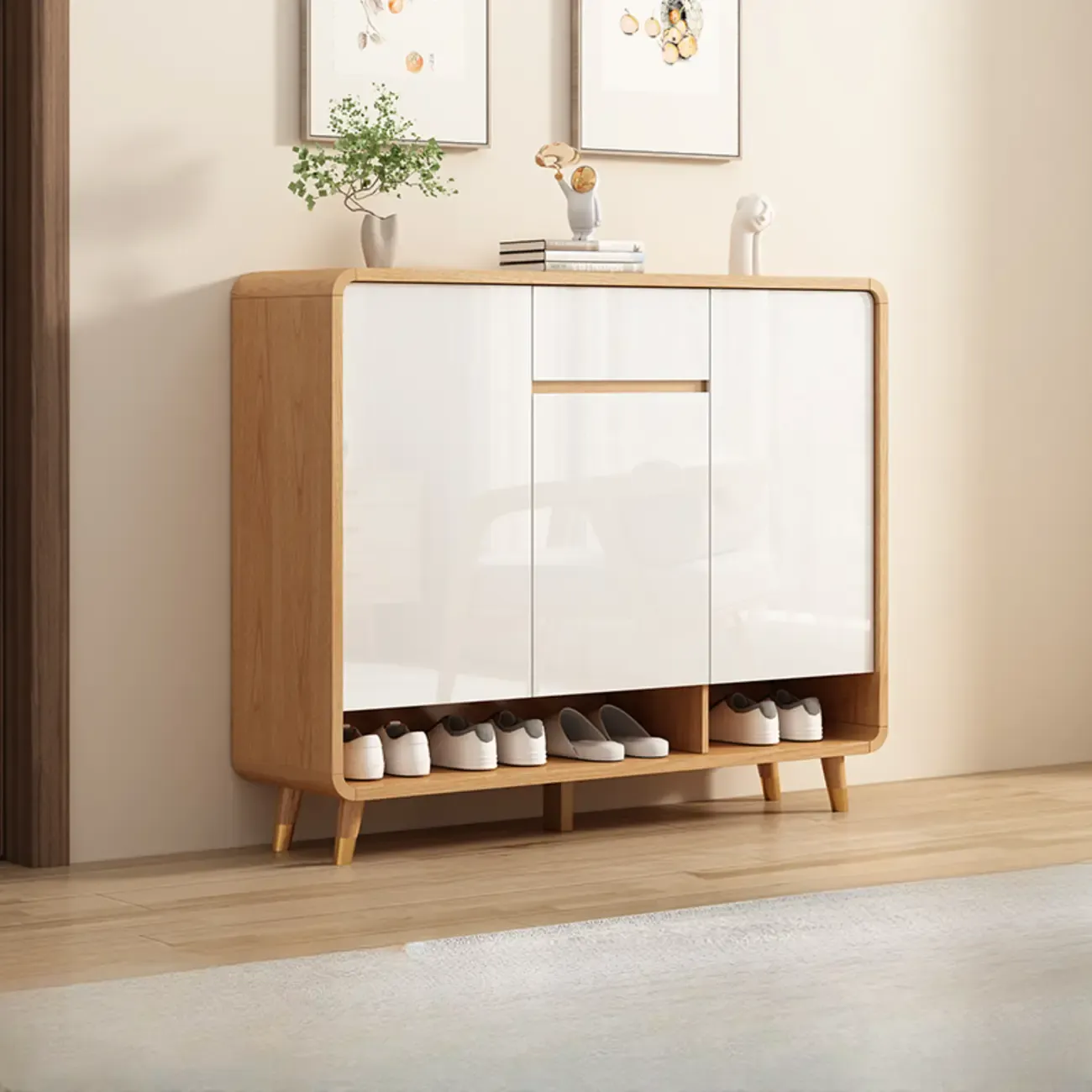 Modern Manufactured White Wood Shoe Cabinet Image - 9