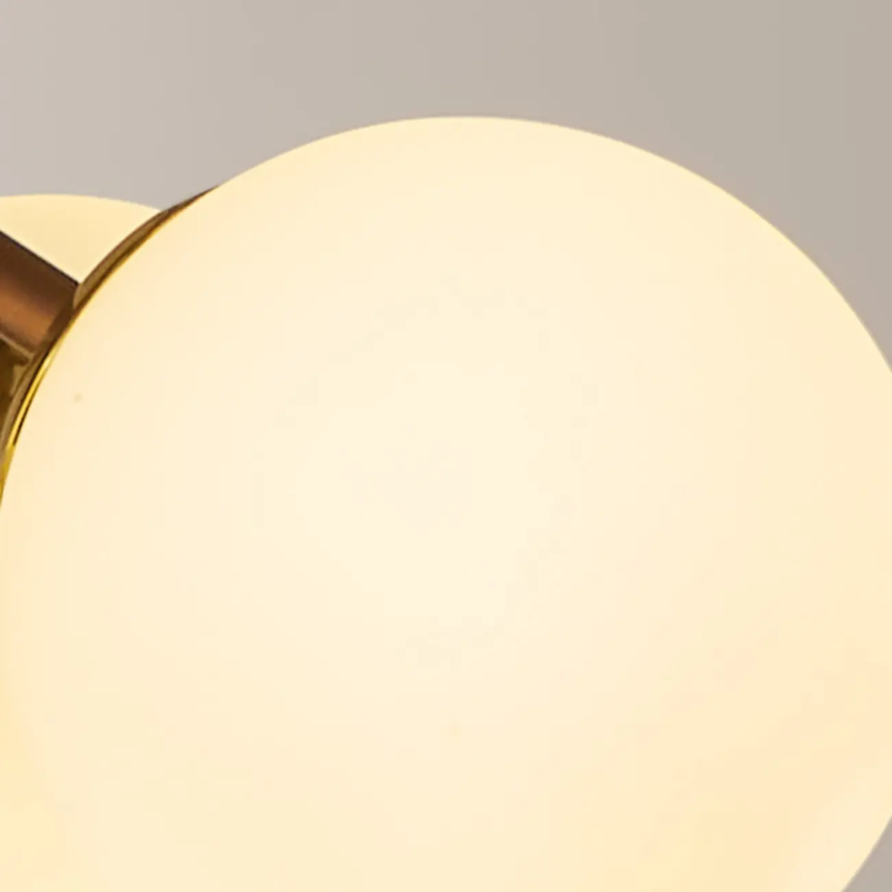 Bronze Floral Glass Globe Modern Chandelier Light Image - 5 | homeyfad