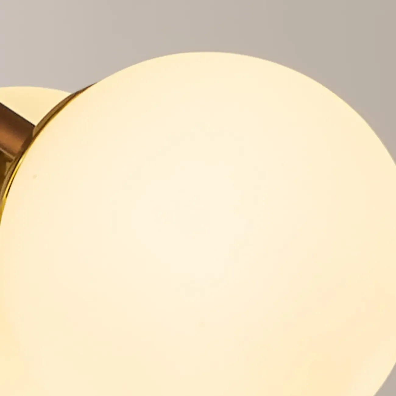 Bronze Floral Glass Globe Modern Chandelier Light Image - 5