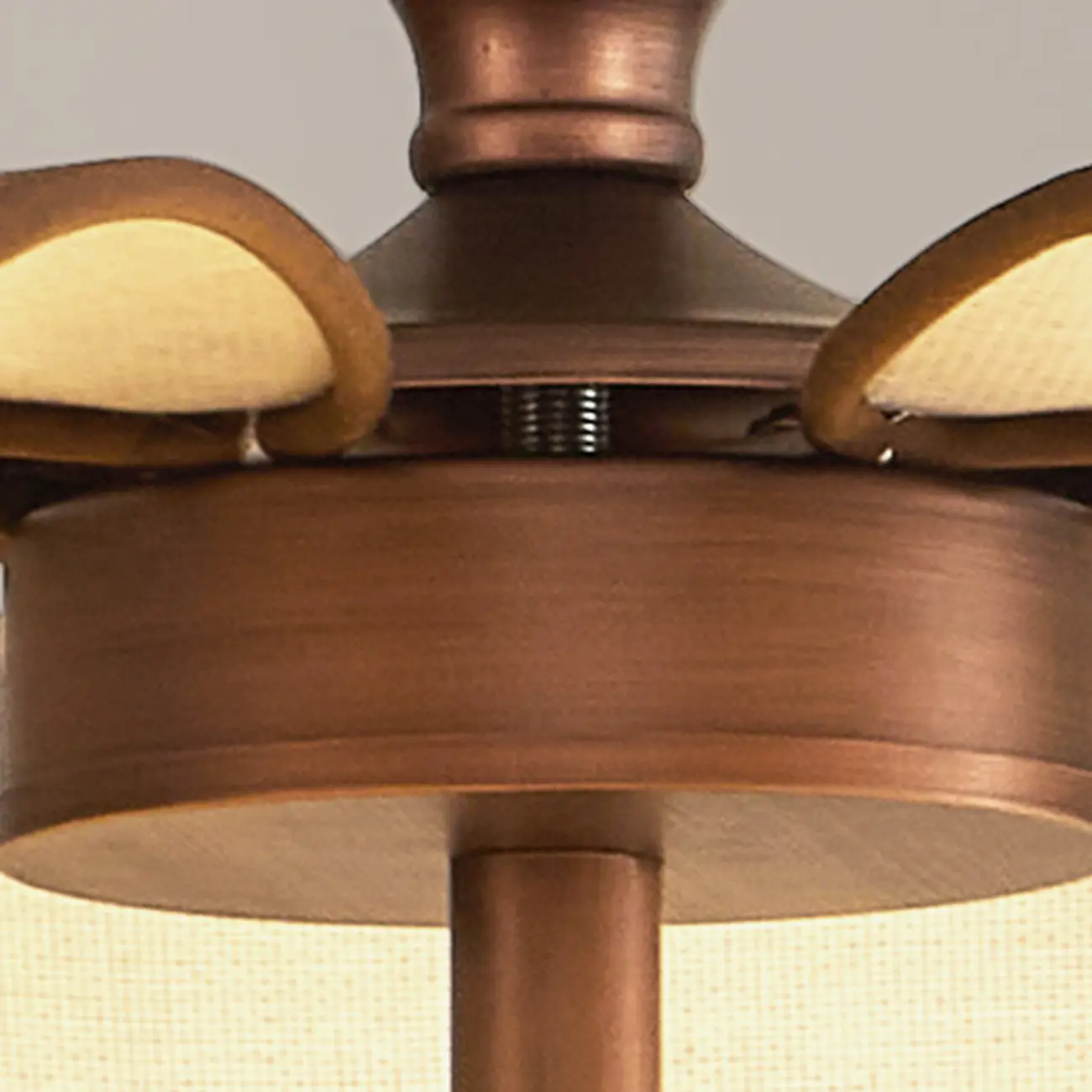 Bronze Floral Glass Globe Modern Chandelier Light Image - 6 | homeyfad