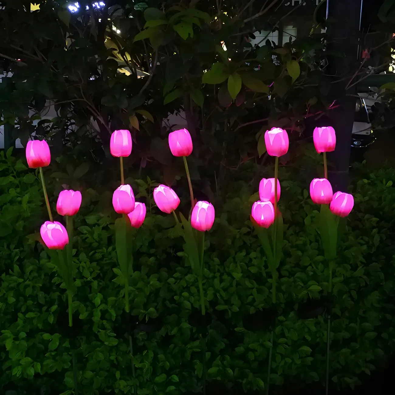 Contemporary Tulip Solar Decorative Landscape Lighting Image - 2